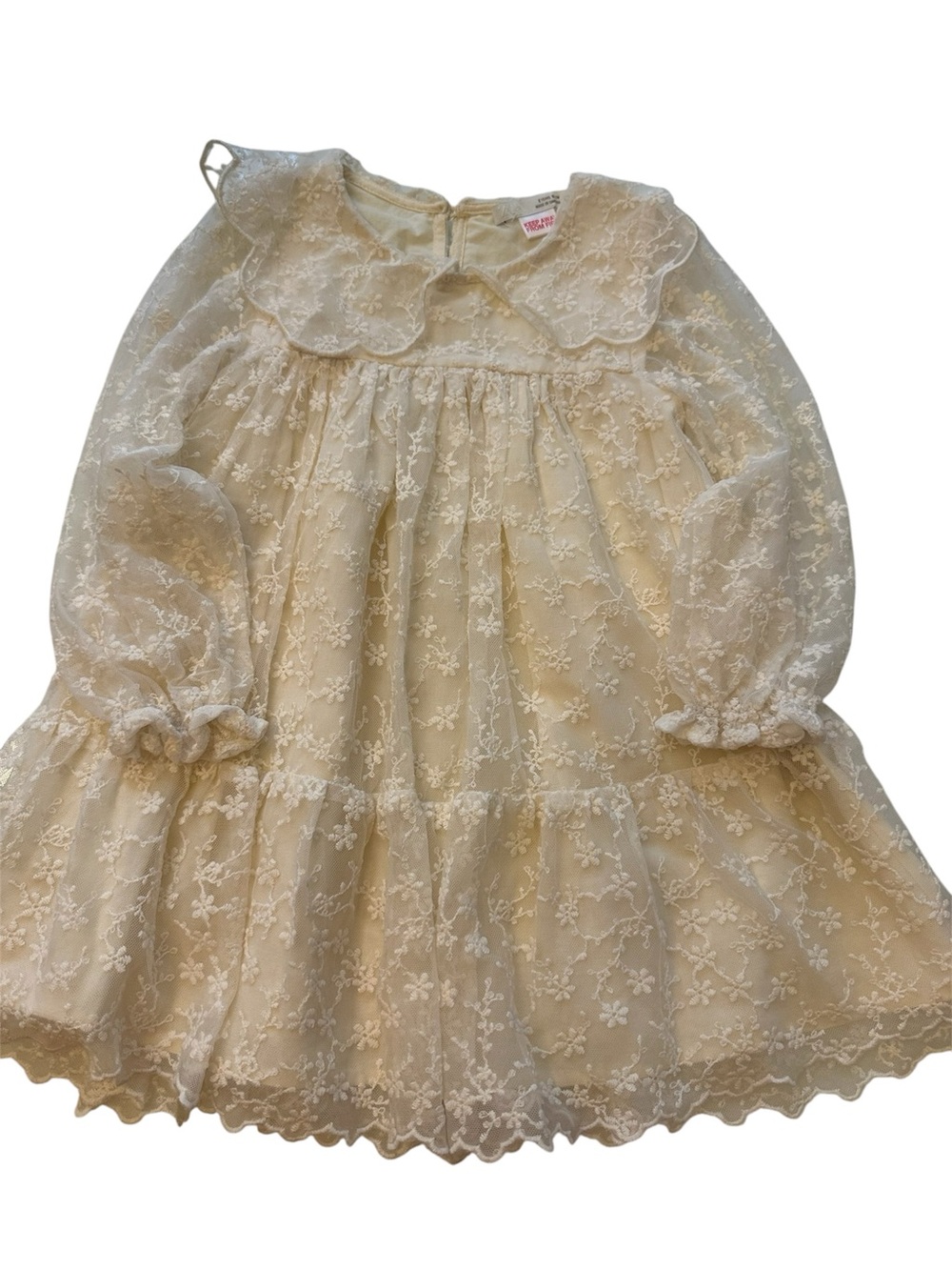 Zara Cream Lace Floral Long-Sleeve Dress